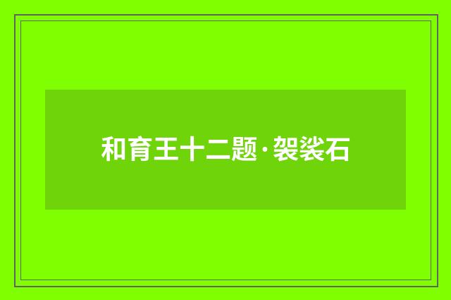 和育王十二题·袈裟石