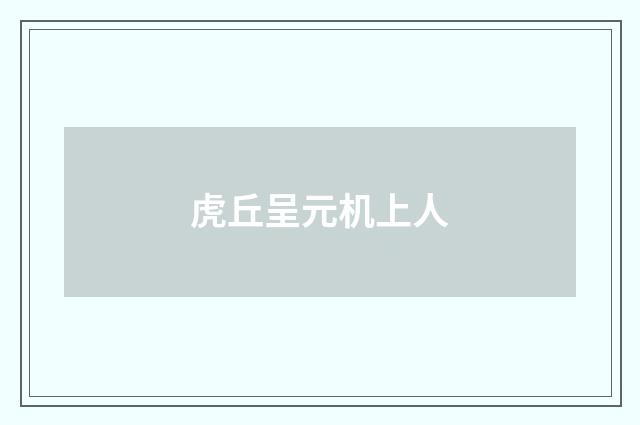 虎丘呈元机上人