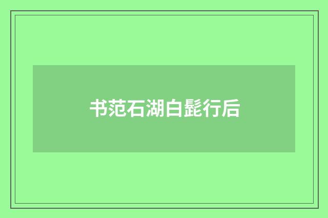书范石湖白髭行后