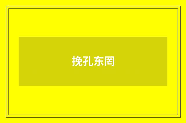 挽孔东罔