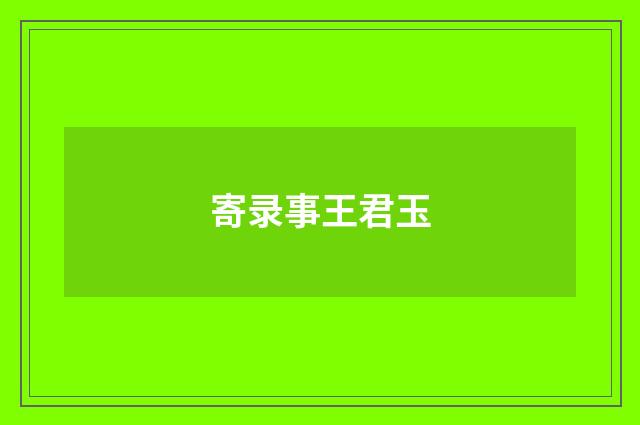 寄录事王君玉
