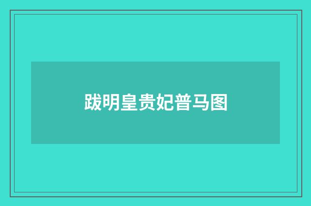 跋明皇贵妃普马图
