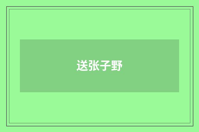 送张子野
