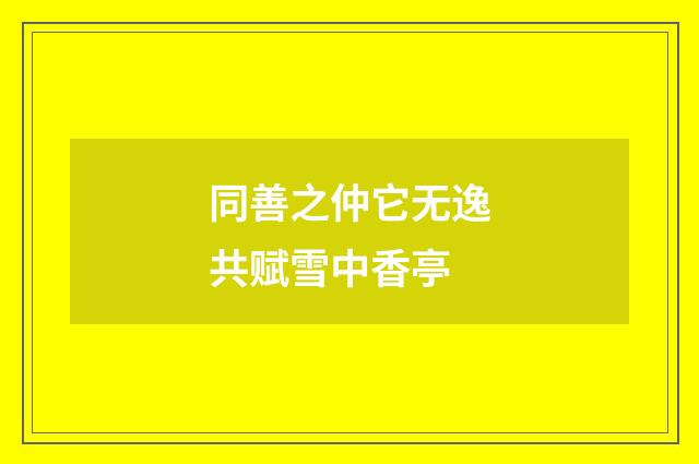 同善之仲它无逸共赋雪中香亭