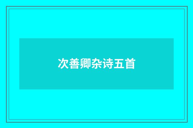 次善卿杂诗五首