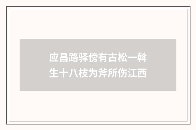 应昌路驿傍有古松一斡生十八枝为斧所伤江西