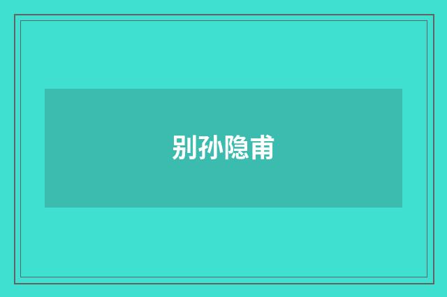 别孙隐甫