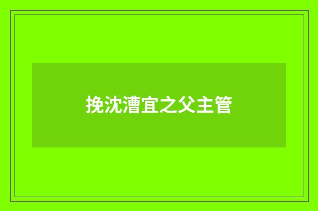 挽沈漕宜之父主管