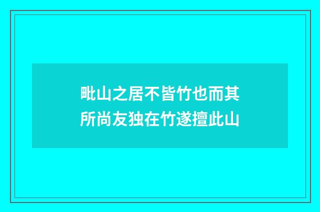 毗山之居不皆竹也而其所尚友独在竹遂擅此山