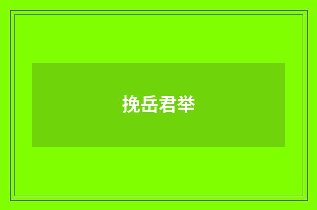 挽岳君举