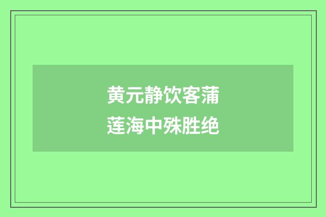 黄元静饮客蒲莲海中殊胜绝
