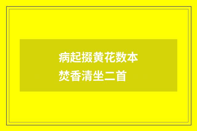 病起掇黄花数本焚香清坐二首