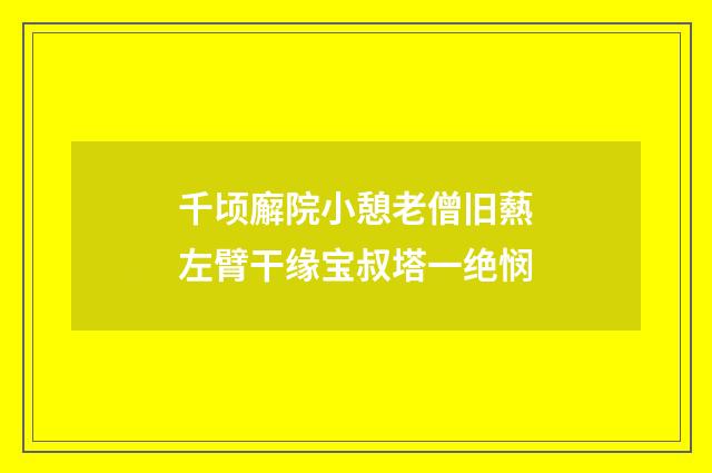 千顷廨院小憩老僧旧爇左臂干缘宝叔塔一绝悯