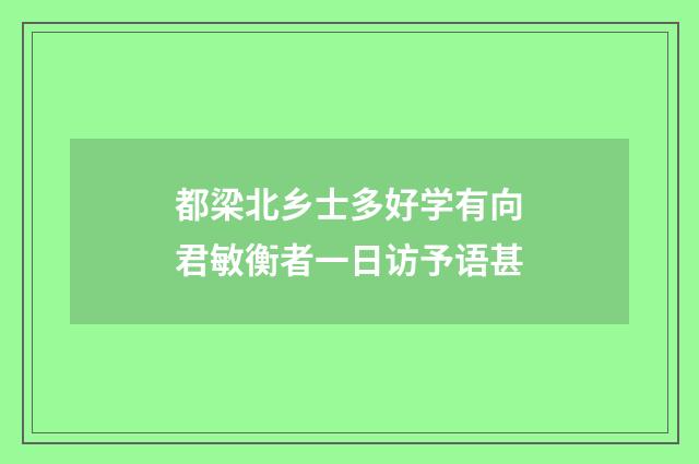 都梁北乡士多好学有向君敏衡者一日访予语甚
