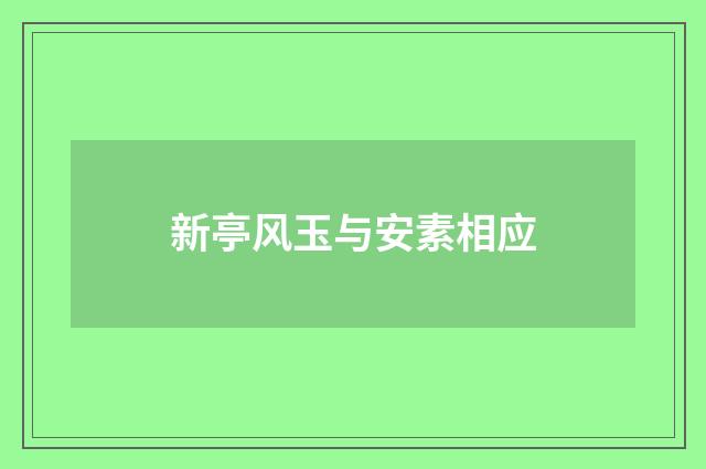 新亭风玉与安素相应
