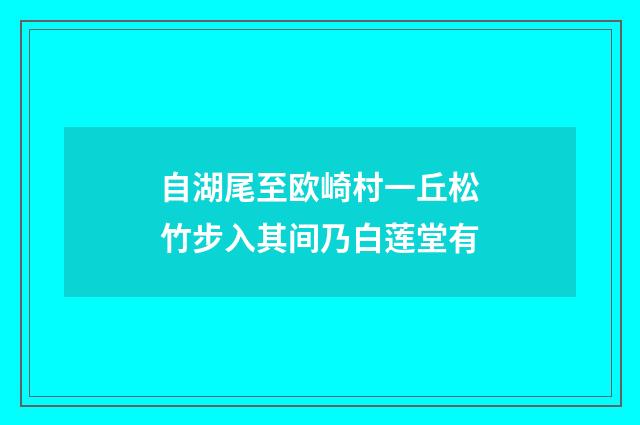 自湖尾至欧崎村一丘松竹步入其间乃白莲堂有