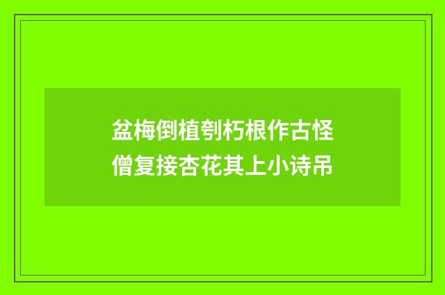 盆梅倒植刳朽根作古怪僧复接杏花其上小诗吊