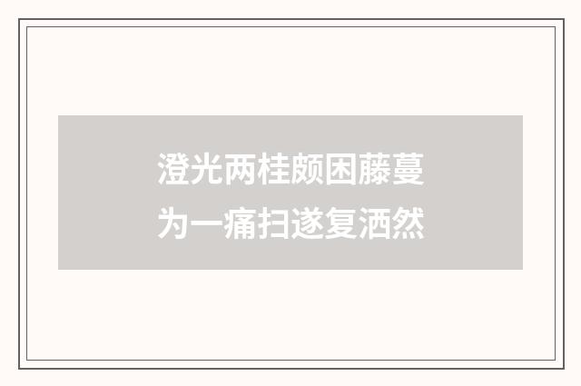 澄光两桂颇困藤蔓为一痛扫遂复洒然