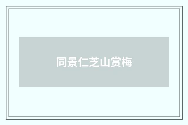 同景仁芝山赏梅