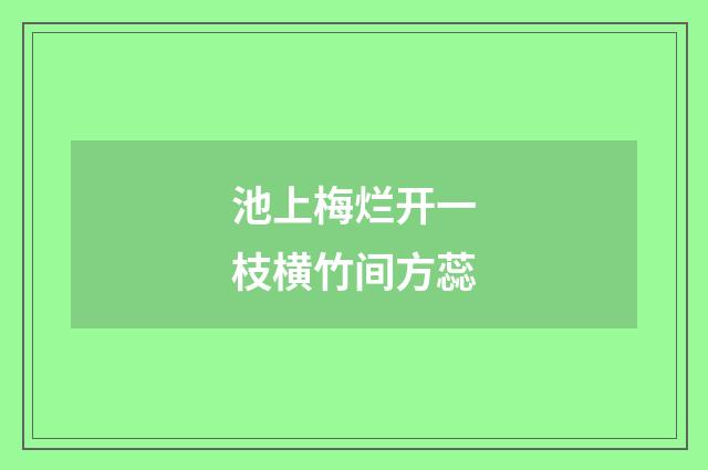 池上梅烂开一枝横竹间方蕊
