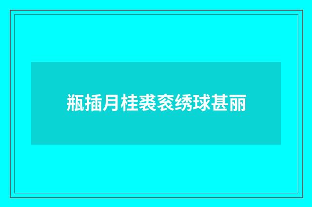 瓶插月桂裘衮绣球甚丽