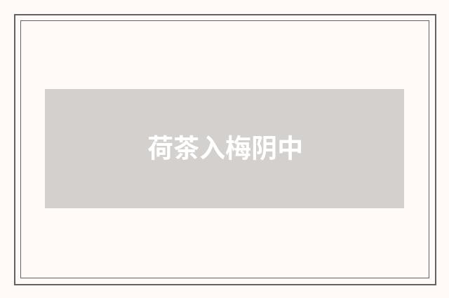 荷茶入梅阴中