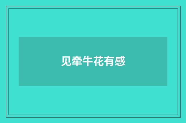 见牵牛花有感