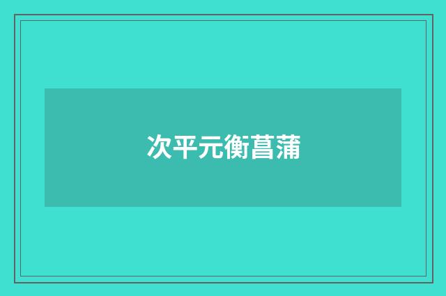 次平元衡菖蒲