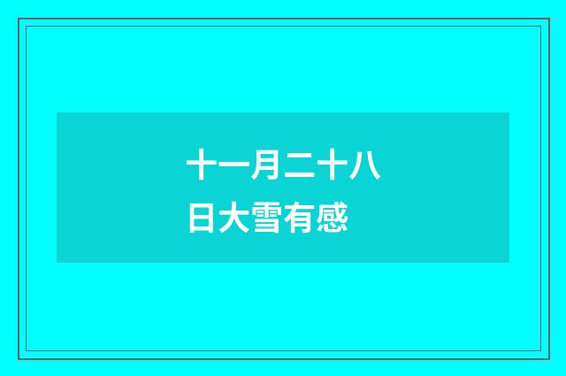 十一月二十八日大雪有感