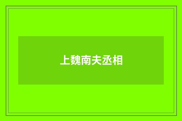 上魏南夫丞相
