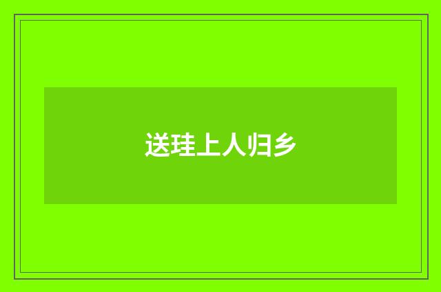 送珪上人归乡