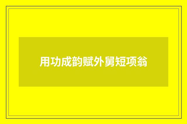 用功成韵赋外舅短项翁