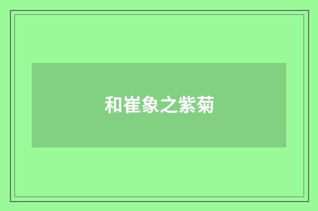 和崔象之紫菊