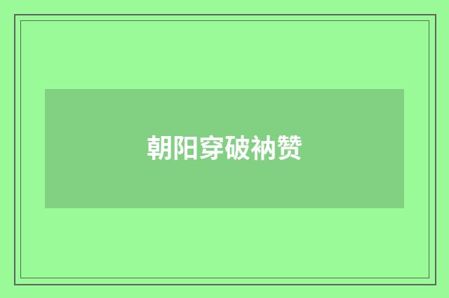 朝阳穿破衲赞