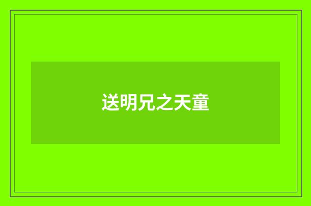 送明兄之天童