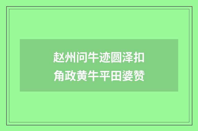 赵州问牛迹圆泽扣角政黄牛平田婆赞