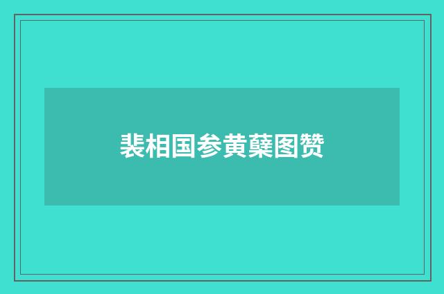 裴相国参黄蘖图赞