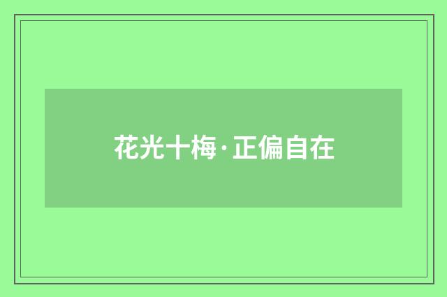 花光十梅·正偏自在
