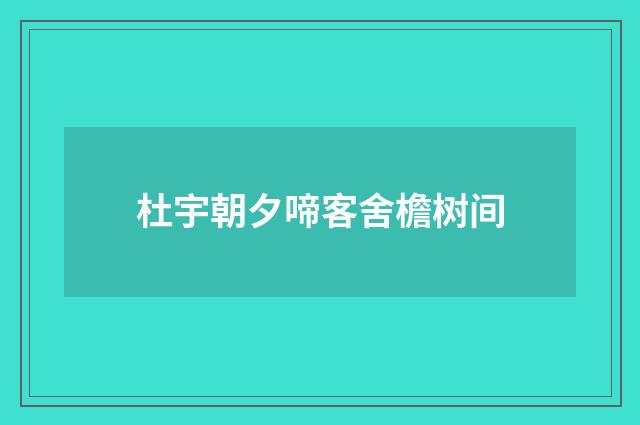 杜宇朝夕啼客舍檐树间