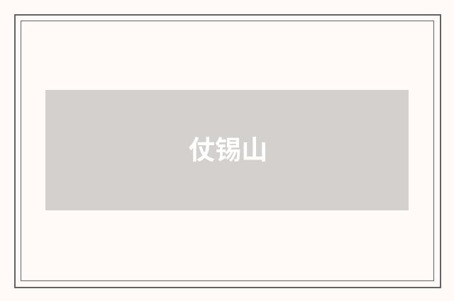仗锡山