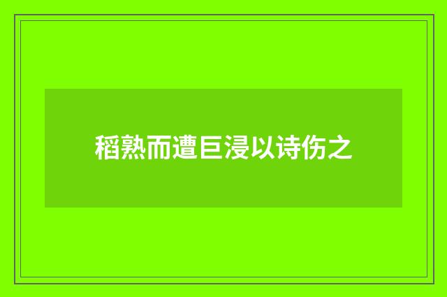 稻熟而遭巨浸以诗伤之