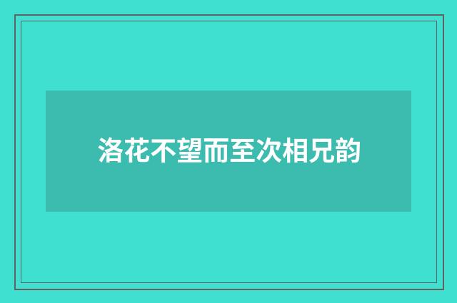 洛花不望而至次相兄韵