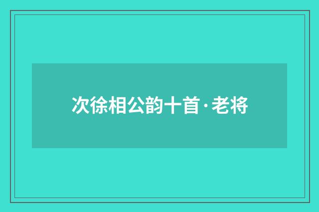 次徐相公韵十首·老将