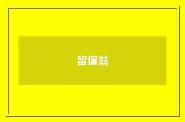 留癯翁