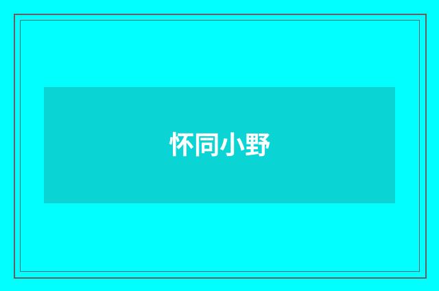 怀同小野