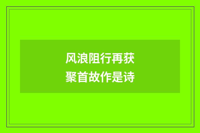 风浪阻行再获聚首故作是诗