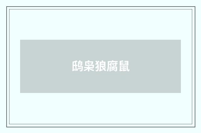 鸱枭狼腐鼠