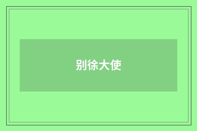 别徐大使