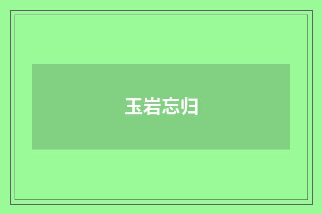 玉岩忘归