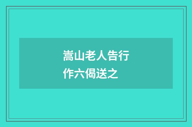 嵩山老人告行作六偈送之